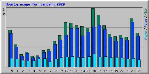 Hourly usage for January 2020