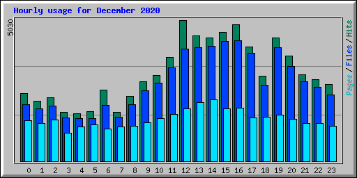 Hourly usage for December 2020