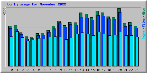 Hourly usage for November 2022