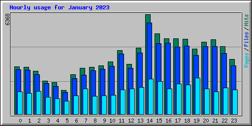 Hourly usage for January 2023