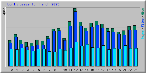 Hourly usage for March 2023